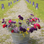 Slashing Medicaid funding puts Maine domestic violence survivors at risk