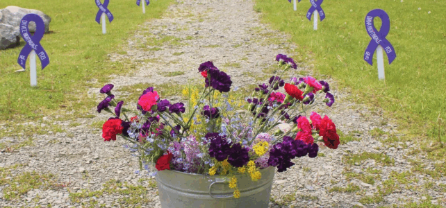 A bucket of flowers leads the way to a row of wooden purple ribbons representing those who lost their lives to domestic violence homicide in Aroostook County since 1973 at Riverside Park in Fort Kent in June 2019. Credit: Jessica Potila / St. John Valley Times File