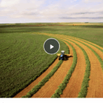 From fields to fridges: How the government shutdown is impacting farmers across America