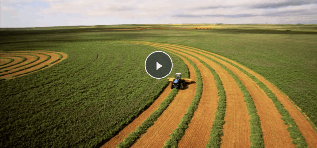 From fields to fridges: How the government shutdown is impacting farmers across America Plow driving through a field