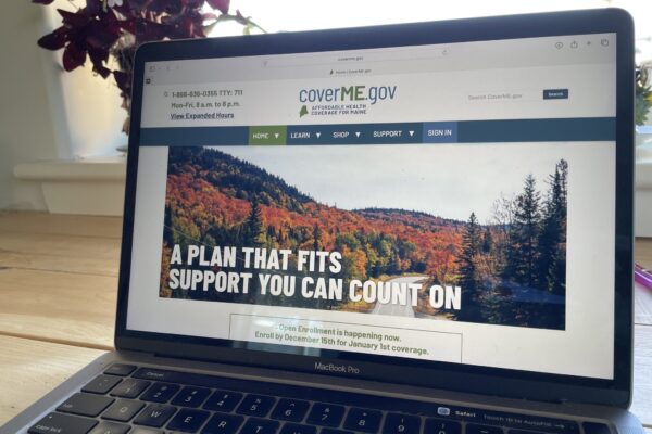 An image of the Maine website state page that says "A plan that fits - support you can count on"