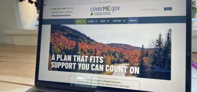 An image of the Maine website state page that says "A plan that fits - support you can count on"
